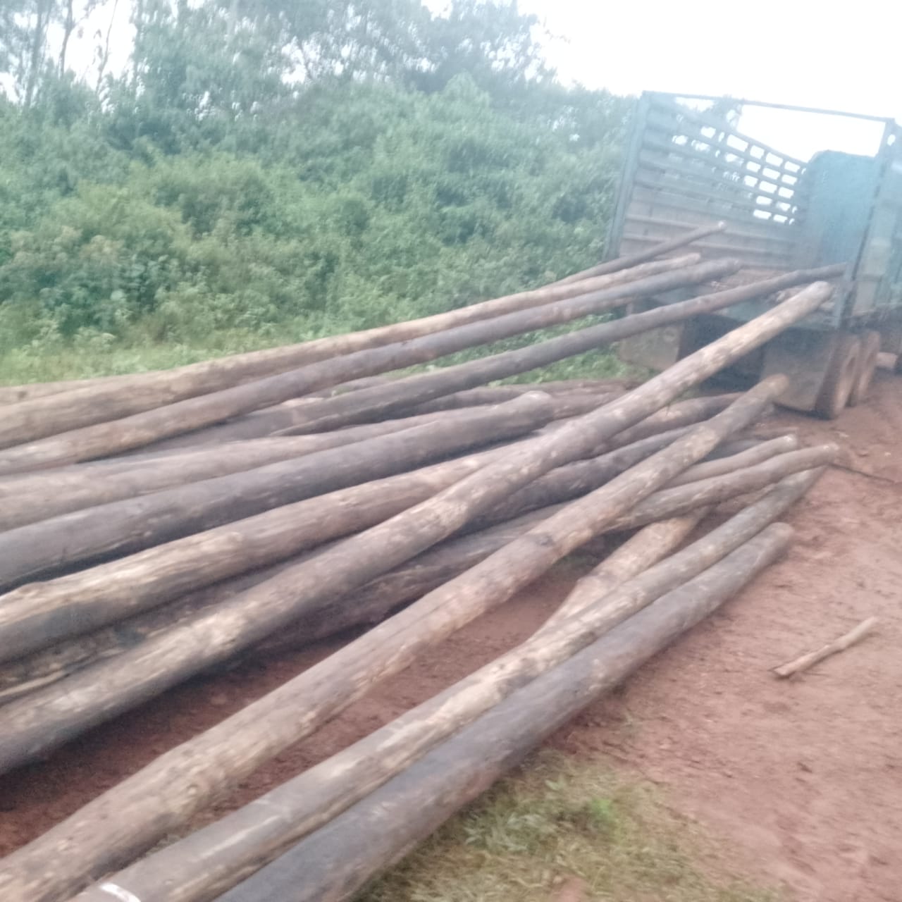 Ashong Village Achieves 24-Hour Electricity Supply in Landmark Development Project